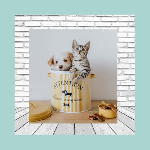 Pet Accessories & Items with Animal Themes